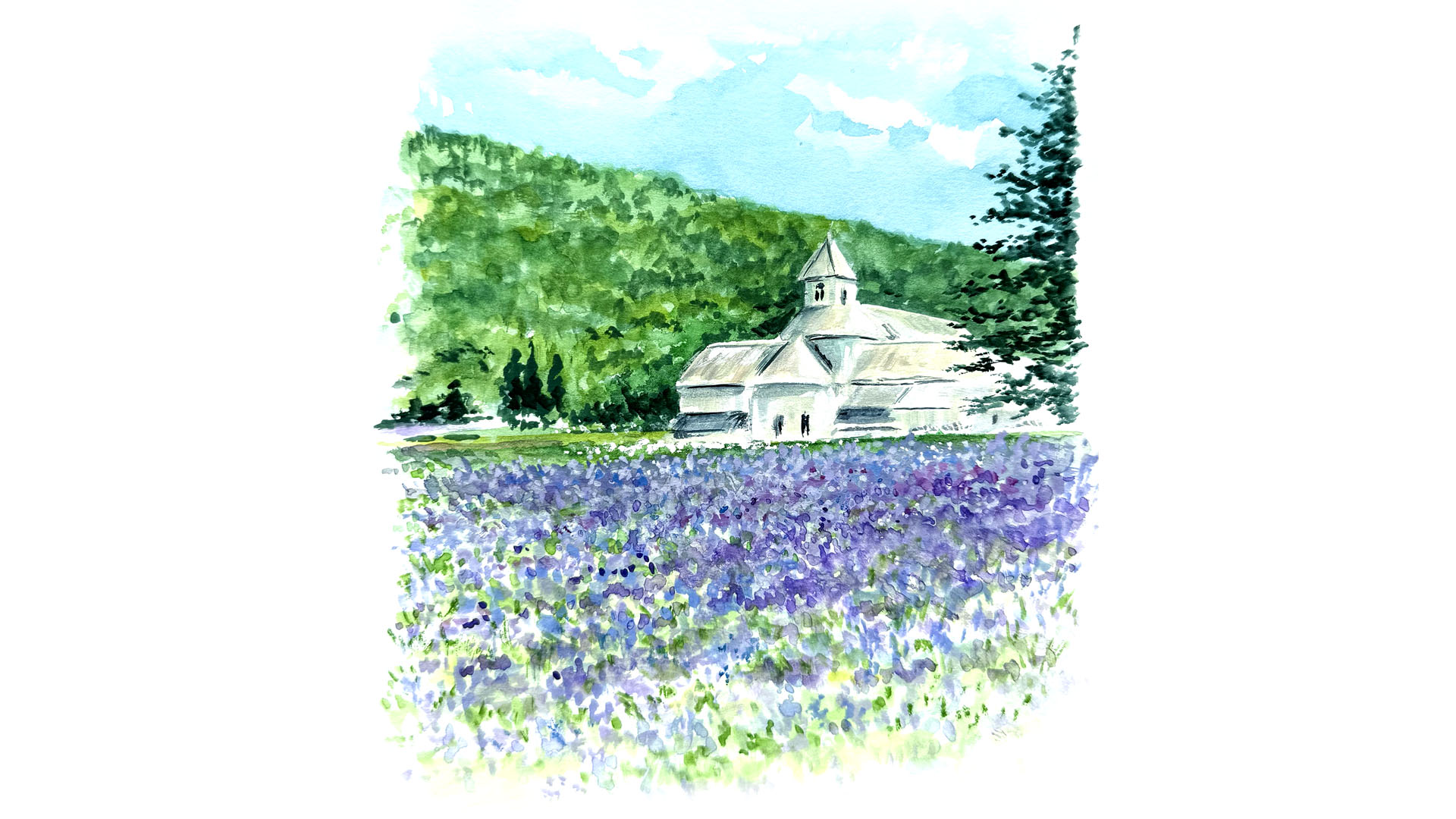 Abbaye de Senanque, Vaucluse, France